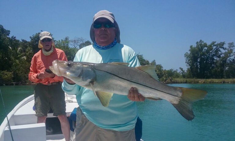 IMG-20240101-WA0051