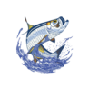 Fishing In Belize